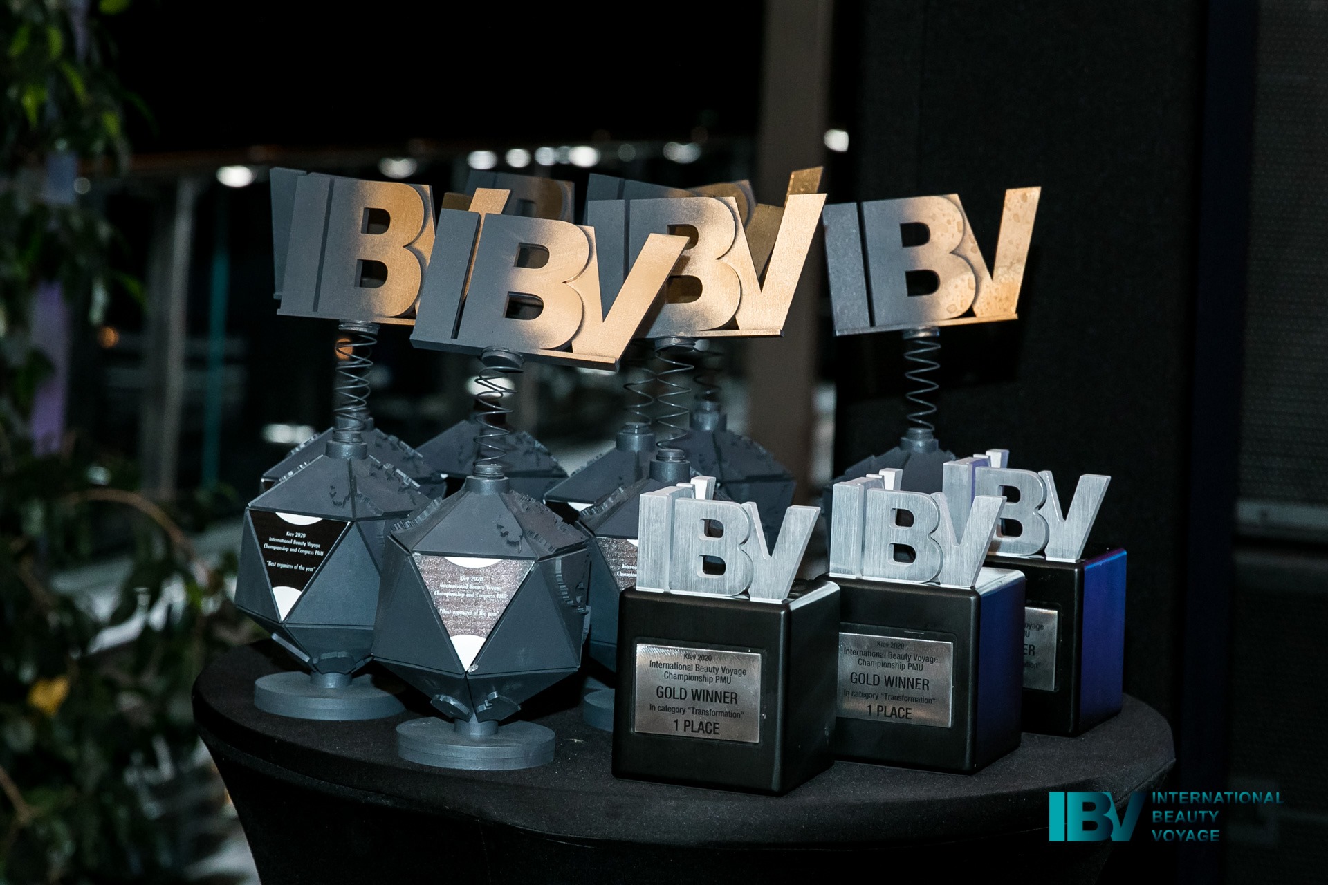 International Beauty Voyage – IBV